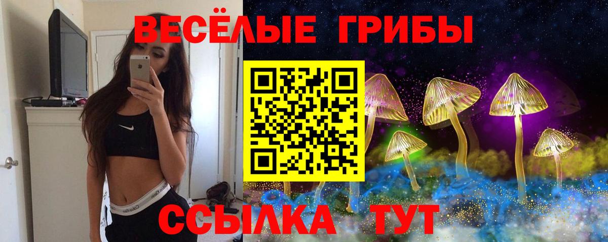 Псилоцибиновые грибы GOLDEN TEACHER Унеча