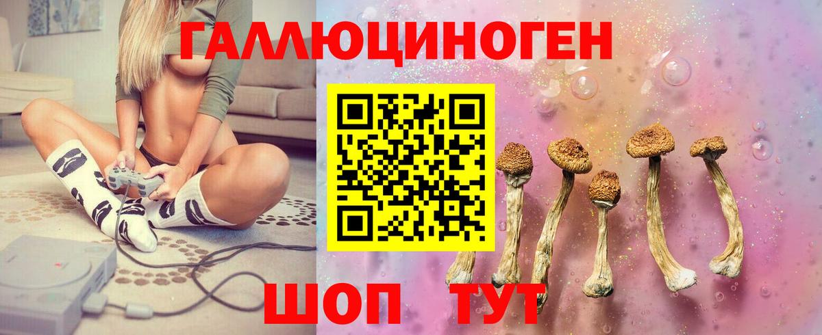 Галлюциногенные грибы Magic Shrooms  Вход с VPN  купить наркоту  Унеча  Галлюциногенные грибы мухоморы 